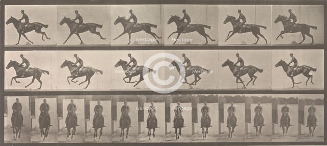 [Horse and Rider Galloping], 1883-86, printed 1887. Creator: Eadweard J Muybridge.