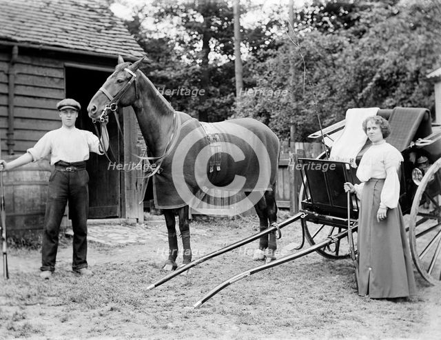 Horse and trap, c1896-c1920. Artist: SWA Newton.