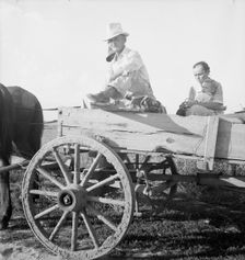 Horse and wagon is still a common means of transportation..., Southeast Missouri Farms, 1938. Creator: Dorothea Lange