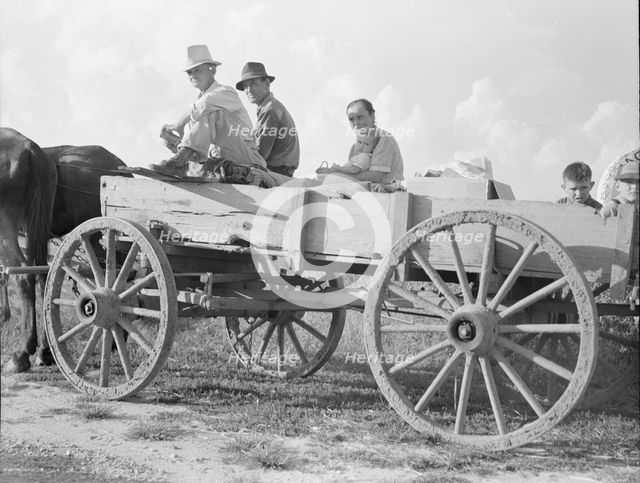 Horse and wagon is still a common means of transportation..., Southeast Missouri Farms, 1938. Creator: Dorothea Lange.