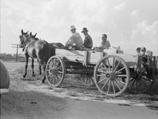 Horse and wagon is still a common means of transportation..., Southeast Missouri Farms, 1938. Creator: Dorothea Lange