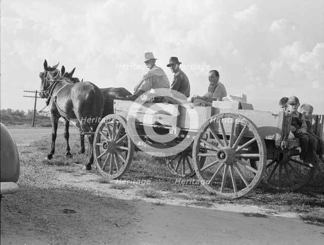 Horse and wagon is still a common means of transportation..., Southeast Missouri Farms, 1938. Creator: Dorothea Lange.