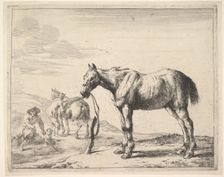 Horse Bound to a Post, turned left. Creator: Dirck Stoop
