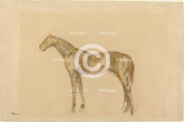 Horse, c. 1890. Creator: Edgar Degas.