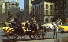 Horse-drawn carriage on 59th Street, New York City, New York, USA, 1956