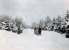 Horse-drawn sleigh, Sweden, c1910. Creator: Unknown