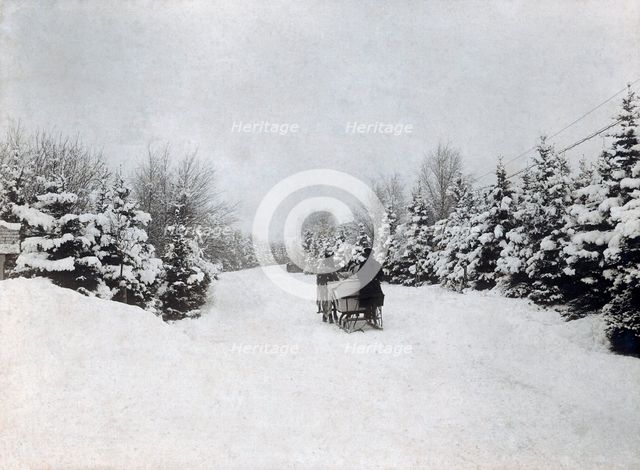 Horse-drawn sleigh, Sweden, c1910. Creator: Unknown.