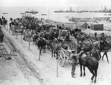 Horse drawn transportation, Allied operations in the Dardanelles, Turkey, 1915-1916