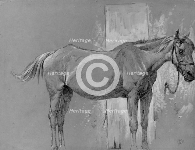 Horse, Fort Stanton, New Mexico. Creator: Peter Moran.