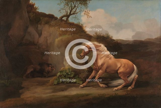 Horse Frightened by a Lion, between 1762 and 1768. Creator: George Stubbs.