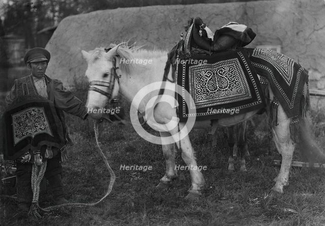 Horse in festive harness and rider in ceremonial attire, 1890.  Creator: Unknown.