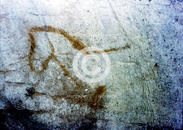 Horse in La Pileta Cave (Málaga), it's only shown the front of the animal, by the solid line prof…