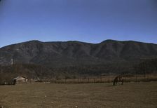 Horse in the pasture of a mountain farm along the Skyline Drive in Virginia, ca. 1940. Creator: Jack Delano