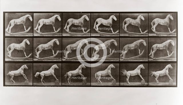 Horse on Rockers and Horse Rolling a Barrel, Plate 649 from Animal Locomotion, 1887 (photograph)