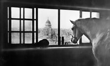 Horse overlooking St Paul's Cathedral from a mutli storey stable, London, 1920s. Creator: George Davison Reid