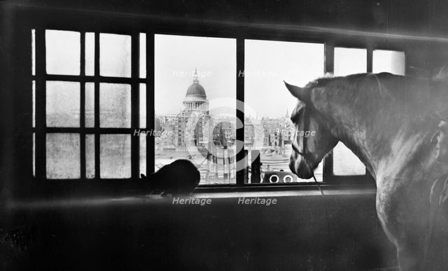Horse overlooking St Paul's Cathedral from a mutli storey stable, London, 1920s. Creator: George Davison Reid.