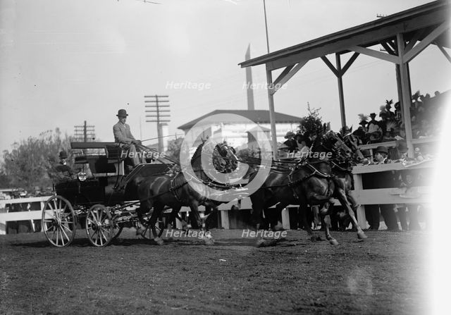 Horse Shows - 4-Horse Teams, 1912. Creator: Harris & Ewing.