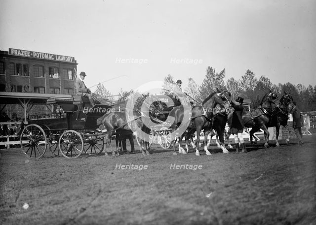 Horse Shows - 4-Horse Teams, 1912. Creator: Harris & Ewing.