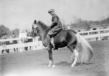 Horse Shows - Children And Ponies, 1911. Creator: Harris & Ewing