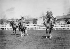 Horse Shows - Children And Ponies, 1911. Creator: Harris & Ewing