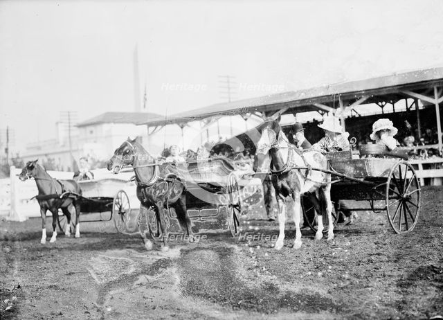 Horse Shows - Children And Ponies, 1912. Creator: Harris & Ewing.