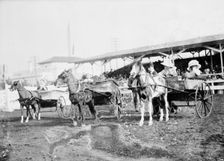 Horse Shows - Children And Ponies, 1912. Creator: Harris & Ewing