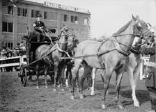 Horse Shows - Adolphus Busch, 3rd of St. Louis, 1911. Creator: Harris & Ewing