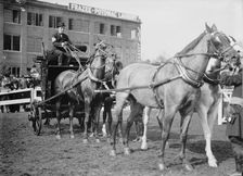 Horse Shows - Adolphus Busch, 3rd of St. Louis, 1911. Creator: Harris & Ewing