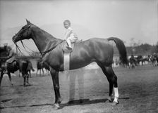 Horse Shows - Baby Vincent Mclean On Indian Flower 1912. Creator: Harris & Ewing