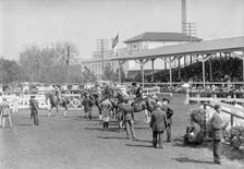 Horse Shows - General View, Washington Horse Show, 1913. Creator: Harris & Ewing