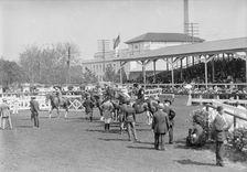 Horse Shows - General View, Washington Horse Show, 1913. Creator: Harris & Ewing