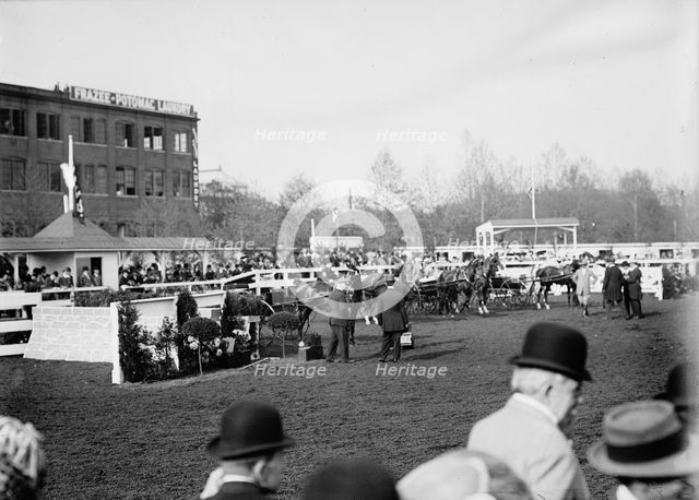 Horse Shows - General Views, 1911. Creator: Harris & Ewing.