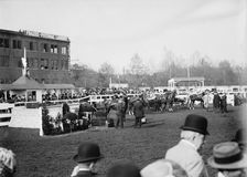 Horse Shows - General Views, 1911. Creator: Harris & Ewing