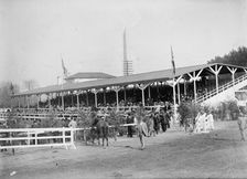 Horse Shows - General Views, 1911. Creator: Harris & Ewing