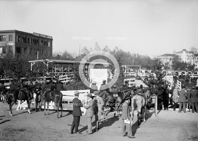 Horse Shows - General Views, 1912. Creator: Harris & Ewing.