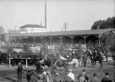 Horse Shows - General Views, 1912. Creator: Harris & Ewing