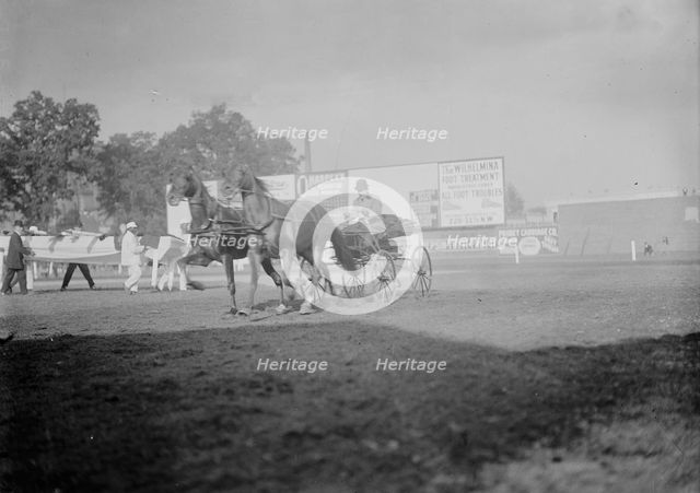Horse Shows - E.T. Stotesbury Driving, 1910. Creator: Harris & Ewing.