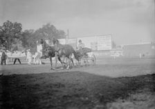Horse Shows - E.T. Stotesbury Driving, 1910. Creator: Harris & Ewing
