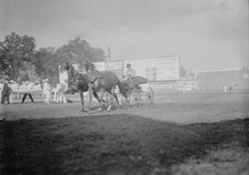 Horse Shows - E.T. Stotesbury Driving, 1910. Creator: Harris & Ewing