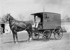 Horse Shows - Horse And Wagon, 1911. Creator: Harris & Ewing