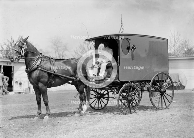 Horse Shows - Horse And Wagon, 1911. Creator: Harris & Ewing.