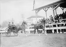 Horse Shows - John Roll Mclean Entries, 1911. Creator: Harris & Ewing