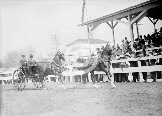 Horse Shows - John Roll Mclean Entries, 1911. Creator: Harris & Ewing.