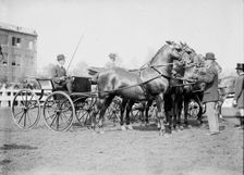 Horse Shows - Judging Team, 1911. Creator: Harris & Ewing