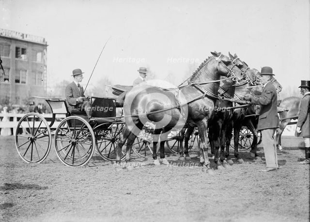 Horse Shows - Judging Team, 1911. Creator: Harris & Ewing.