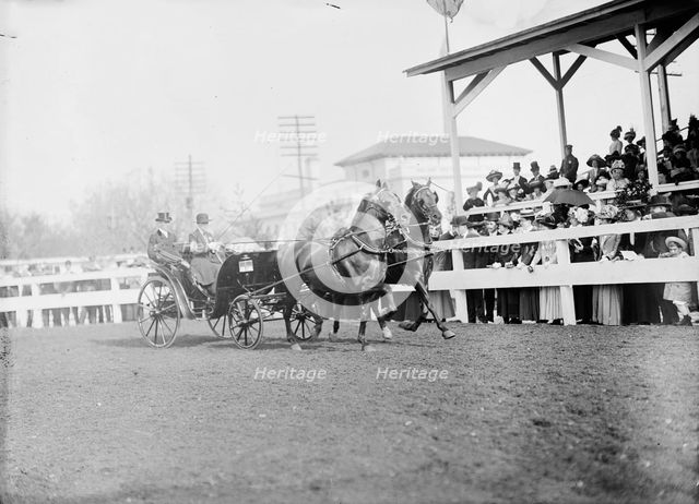 Horse Shows - Mclean Entries, 1911. Creator: Harris & Ewing.