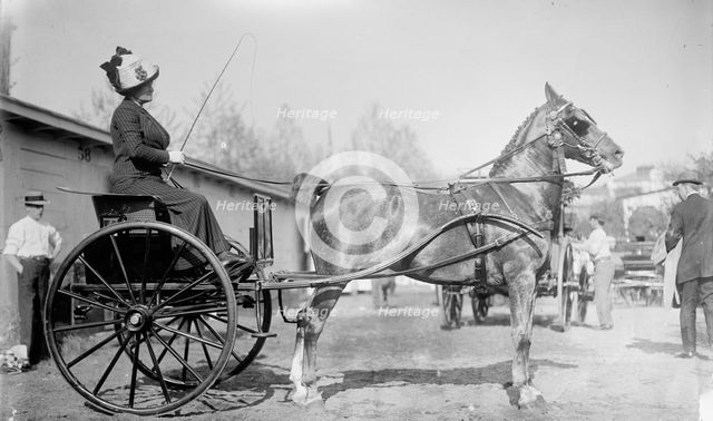 Horse Shows - Mrs. C.W. Watson Driving, 1911. Creator: Harris & Ewing.