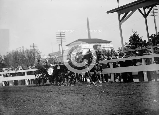 Horse Shows - Team, 1912. Creator: Harris & Ewing.