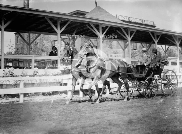 Horse Shows - Team Driven By General Nelson A. Miles, Left, with P. V. Degraw, 1912. Creator: Harris & Ewing.