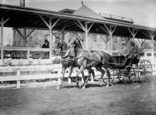 Horse Shows - Team Driven By General Nelson A. Miles, Left, with P. V. Degraw, 1912. Creator: Harris & Ewing